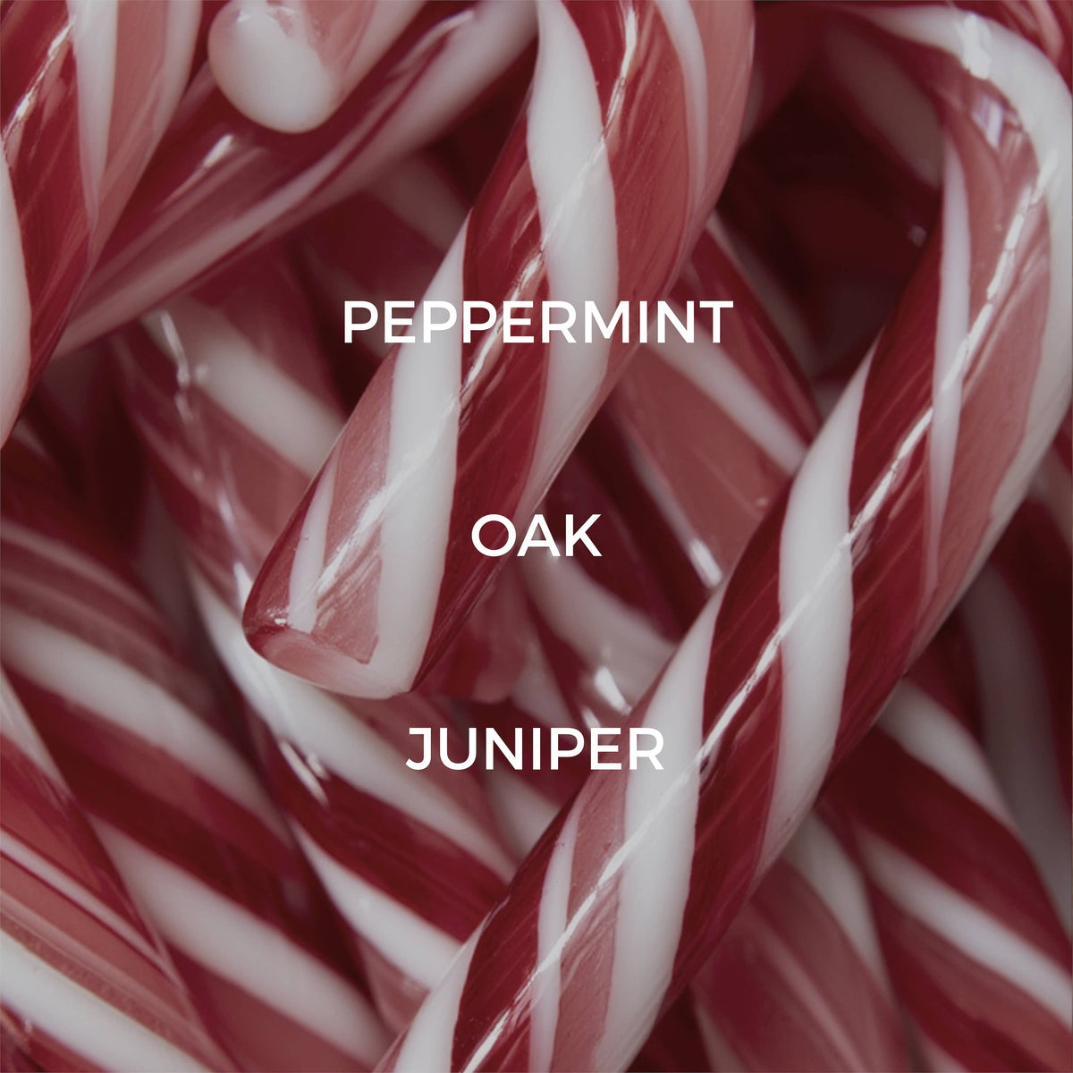 True Hue Peppermint Twist mini candle with red and white striped design, perfect for festive decor and cozy ambiance.