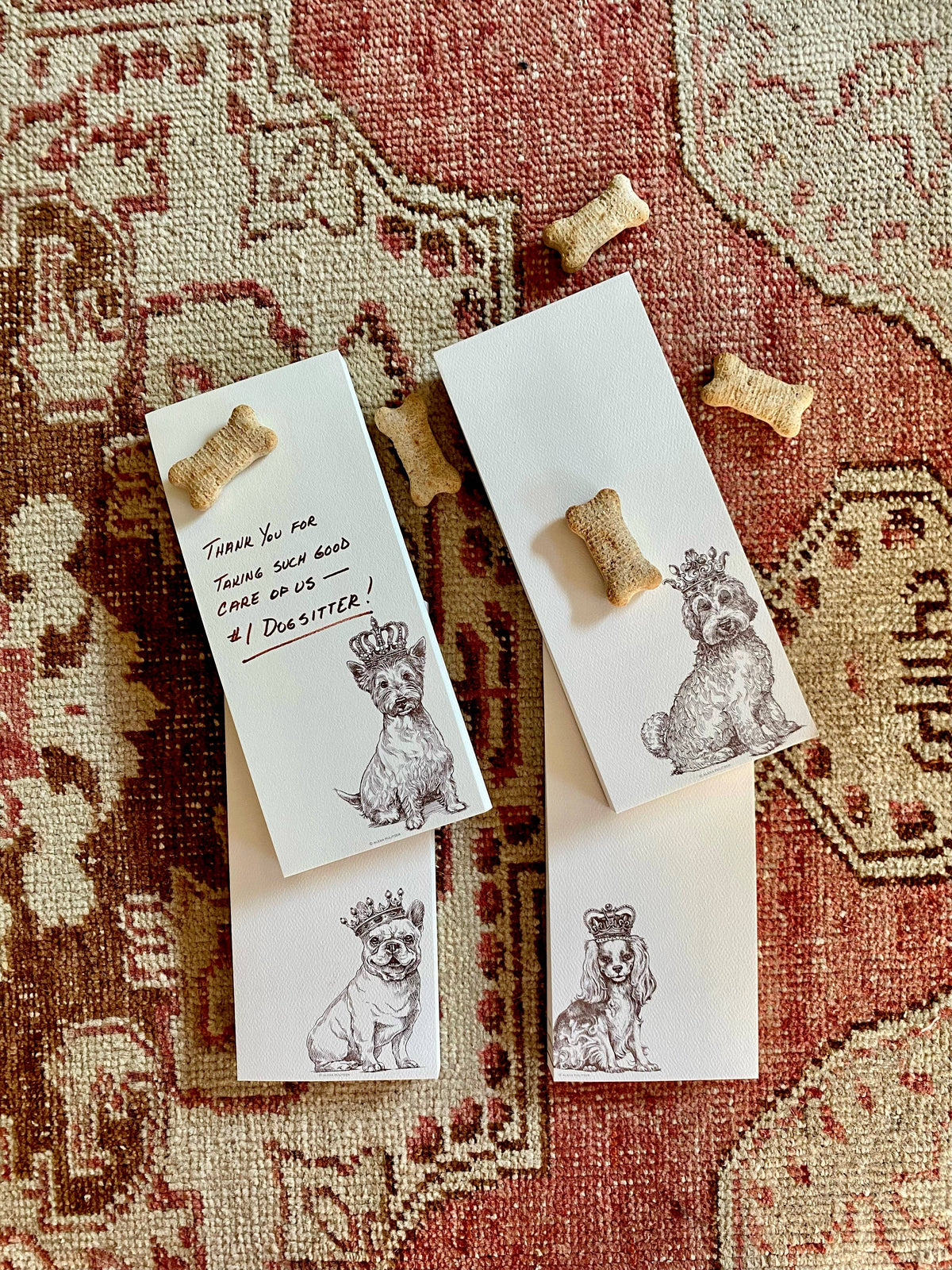 Alexa Pulitzer- Royal Cavalier King Charles Spaniel Long Pad