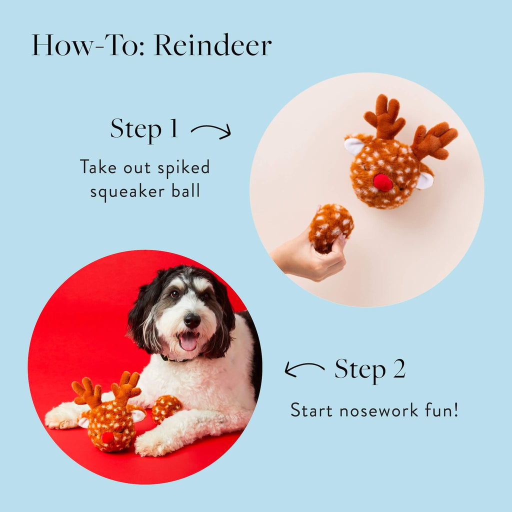 Instructions for using a reindeer-themed dog toy with a dog sitting next to it on a blue background.
