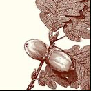 Alexa Pulitzer- Acorn Leaf Long Pad