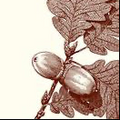 Alexa Pulitzer- Acorn Leaf Long Pad