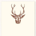 Alexa Pulitzer- Deer Long Pad