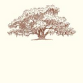 Alexa Pulitzer- Oak Tree Long Pad