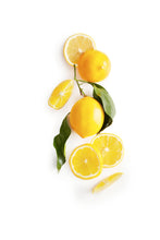 Rustic Bakery Meyer Lemon Shortbread Cookies displayed on a plate, showcasing golden-brown cookies with lemon zest.