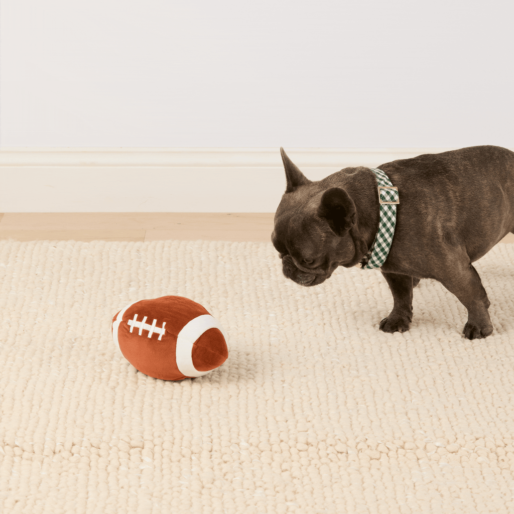 The Foggy Dog Football Interactive Snuffle Dog Toy