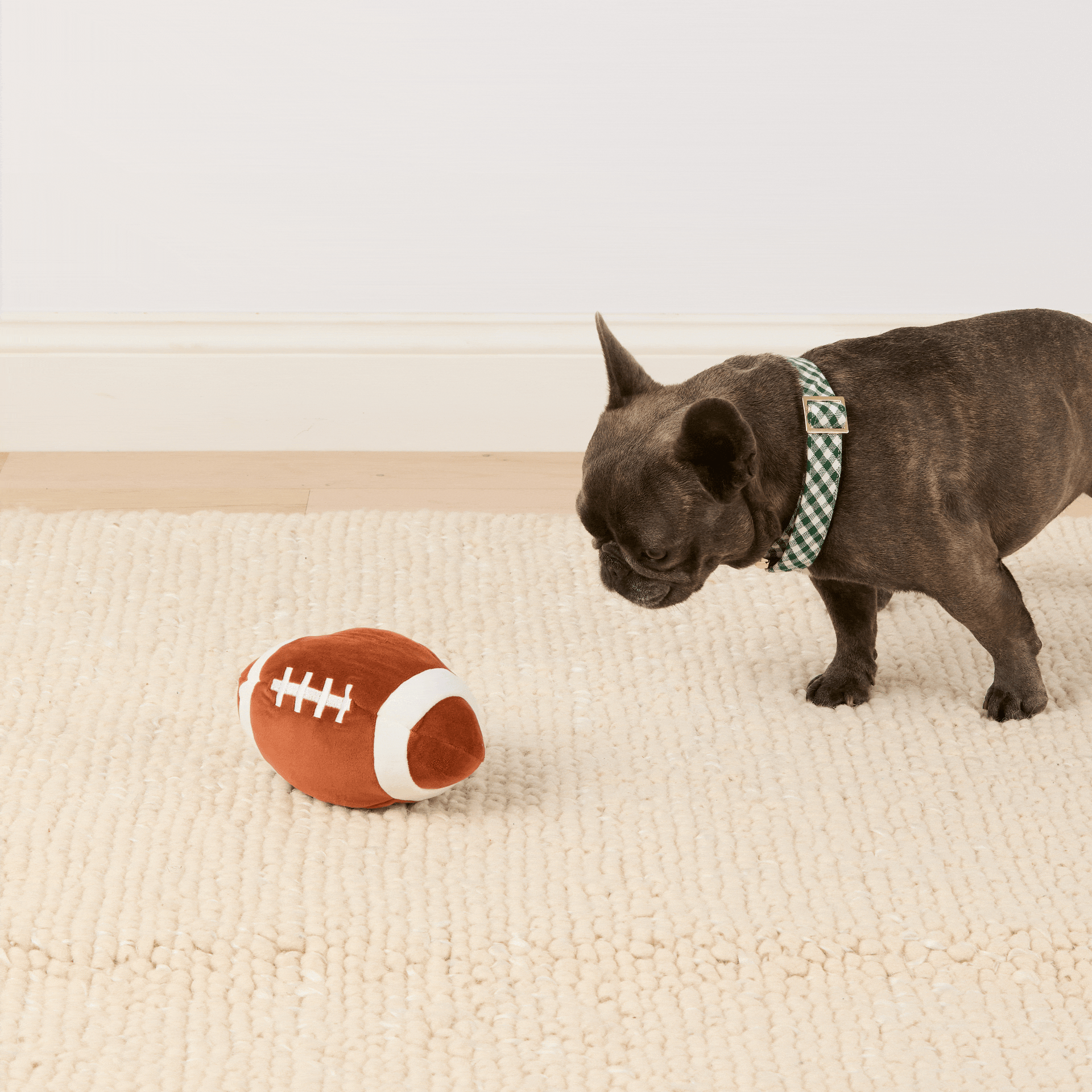 The Foggy Dog Football Interactive Snuffle Dog Toy