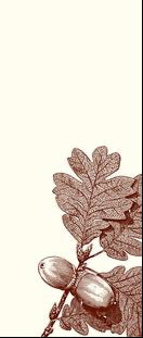 Alexa Pulitzer acorn leaf long paper pad with detailed acorn leaf design on the cover.